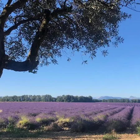 Lägenhet 04b3 Beautiful T3 In The Heart Of Lavender - Pool Brunet