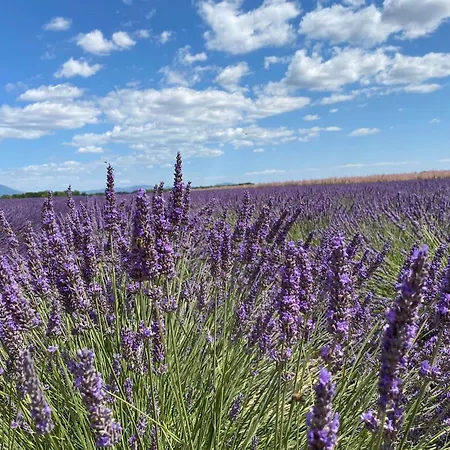 Lägenhet 04b3 Beautiful T3 In The Heart Of Lavender - Pool *