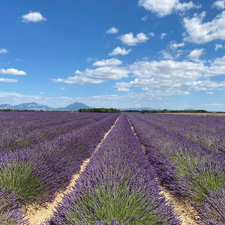 04b3 Beautiful T3 In The Heart Of Lavender - Pool Brunet